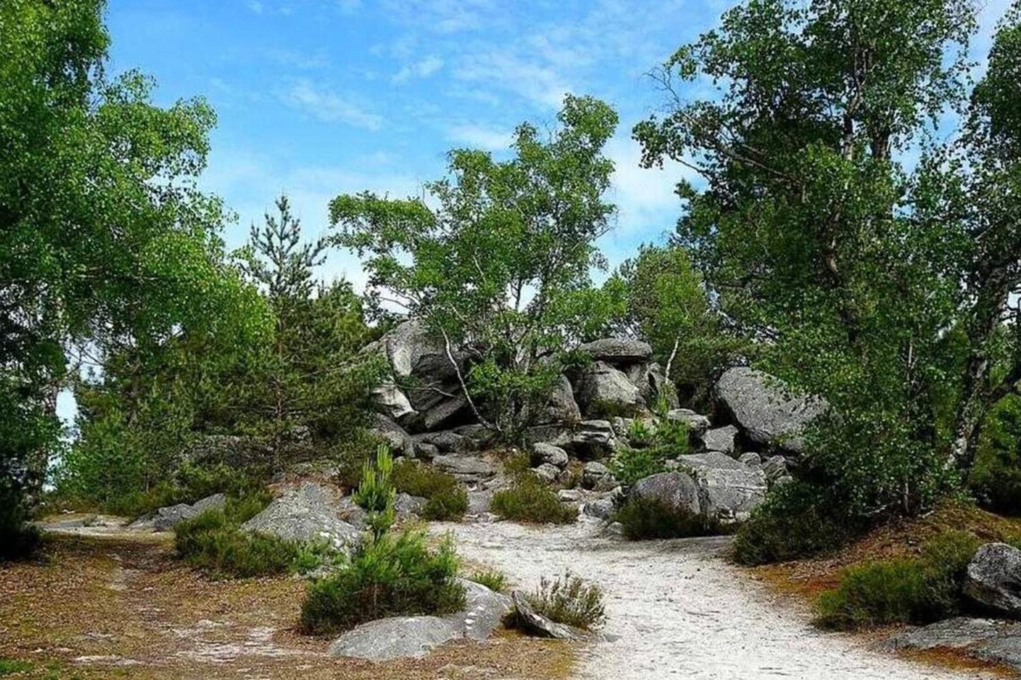 L'Echappee Belle A Fontainebleau Lejlighed Eksteriør billede