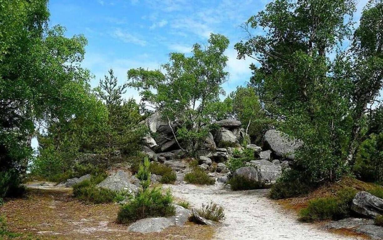 L'Echappee Belle A Fontainebleau Lejlighed Eksteriør billede